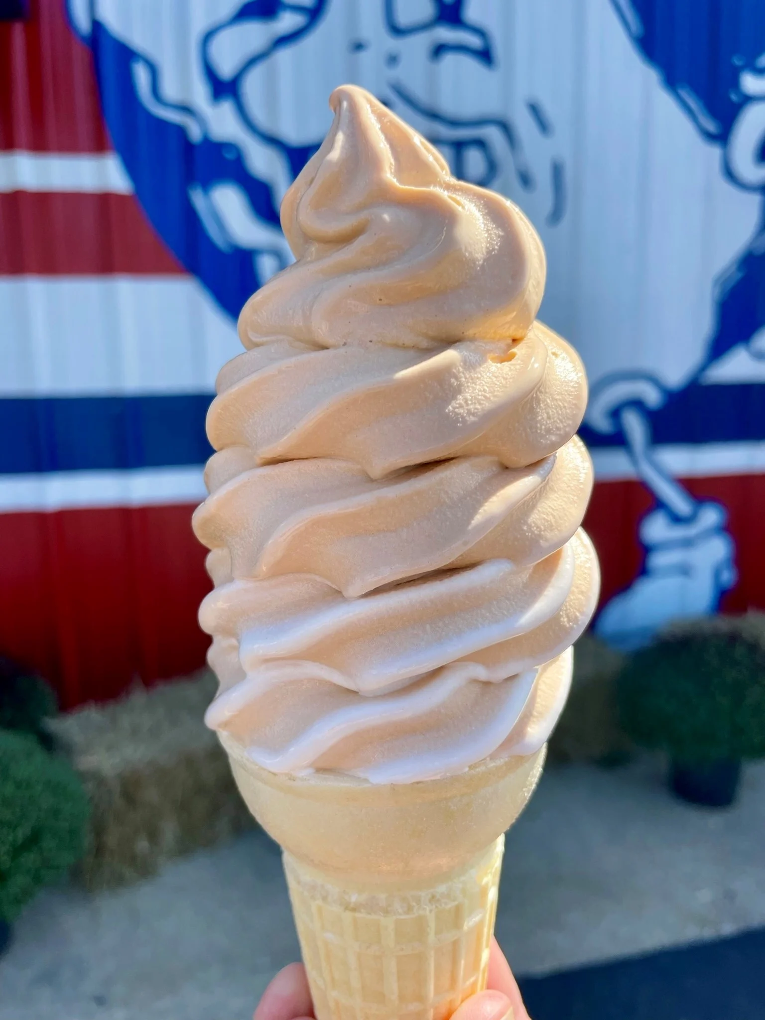 Ice cream sundae